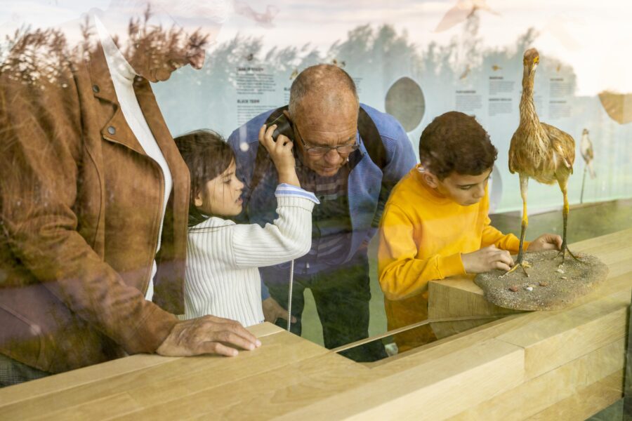 Opa & oma met kinderen in het Vogeltheater Werelderfgoed Kinderdijk