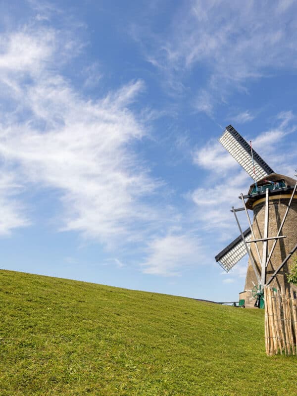 Museummolen Nederwaard met ervoor het hekwerk van het kippenhok.