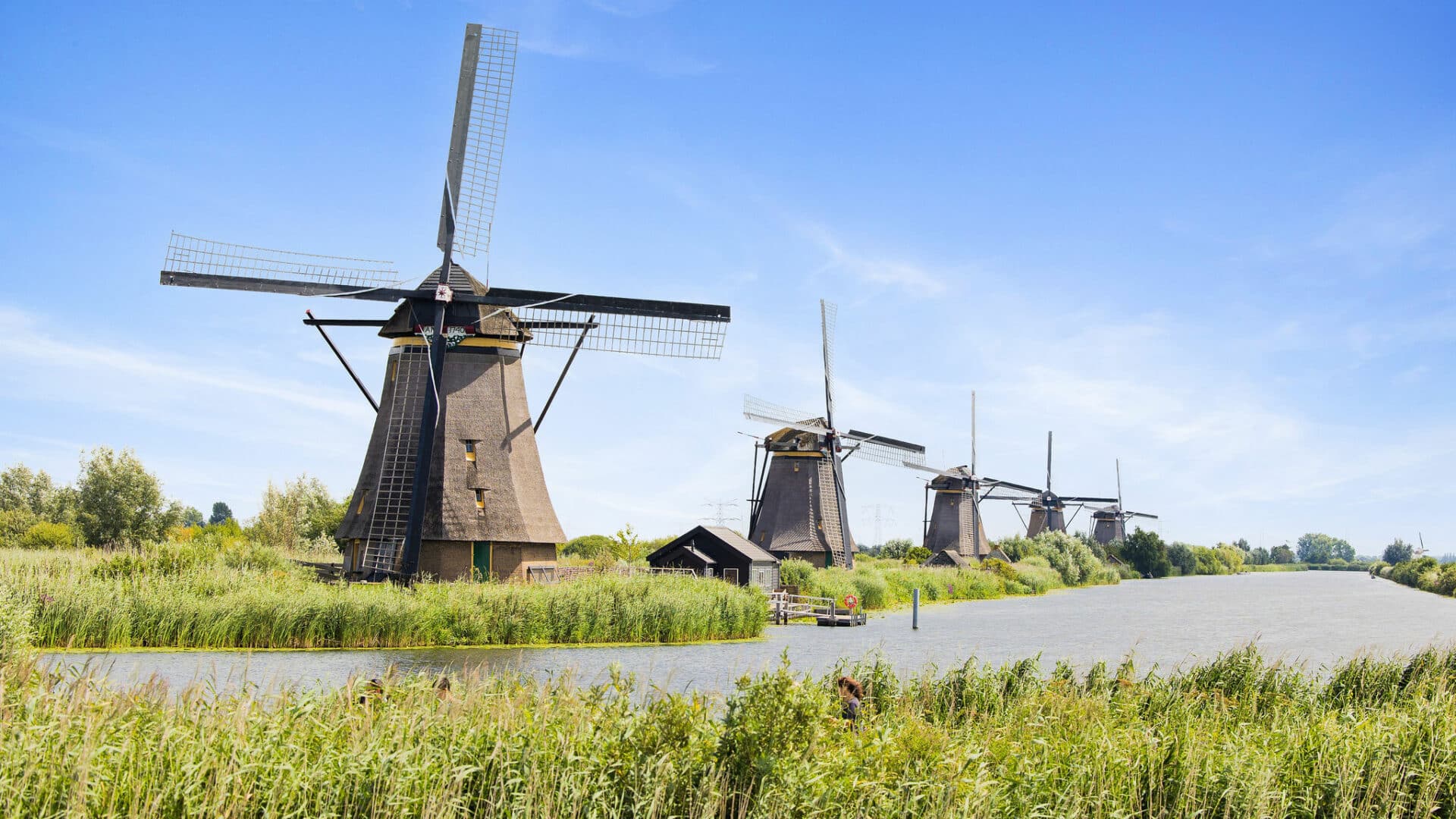 De bekende foto van de vijf molens op een rij in Kinderdijk op een zomerse dag