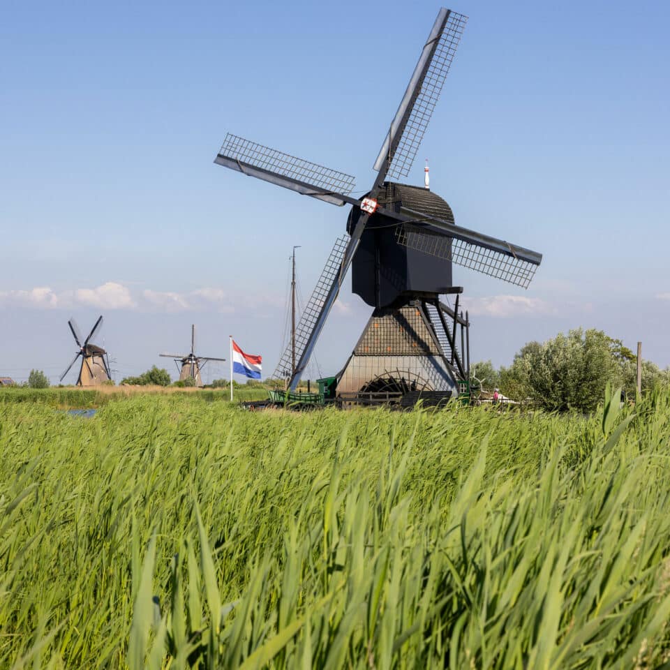 Op de voorgrond Museummolen Blokweer met daarvoor het riet. Naast de molen wappert een Nederlandse vlag en op de achtergrond zijn nog wat molens in Kinderdijk te zien