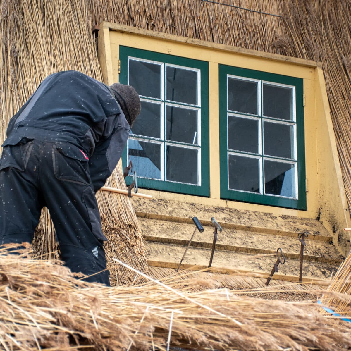 Een riet dekker aan het werk aan een molen in Kinderdijk voor het plaatsen van nieuw riet.