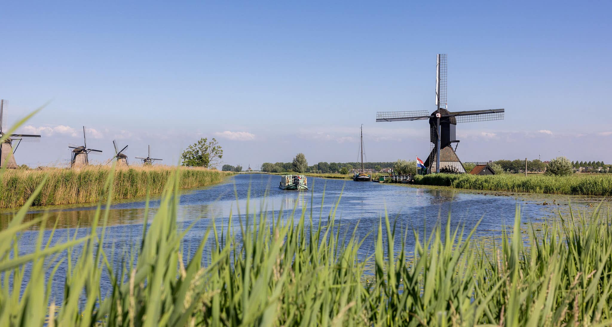 Een rondvaartboot in de verte varend langs Museummolen Blokweer op een zomerse dag met op de voorgrond riet.