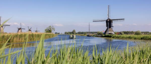 Een rondvaartboot in de verte varend langs Museummolen Blokweer op een zomerse dag met op de voorgrond riet.