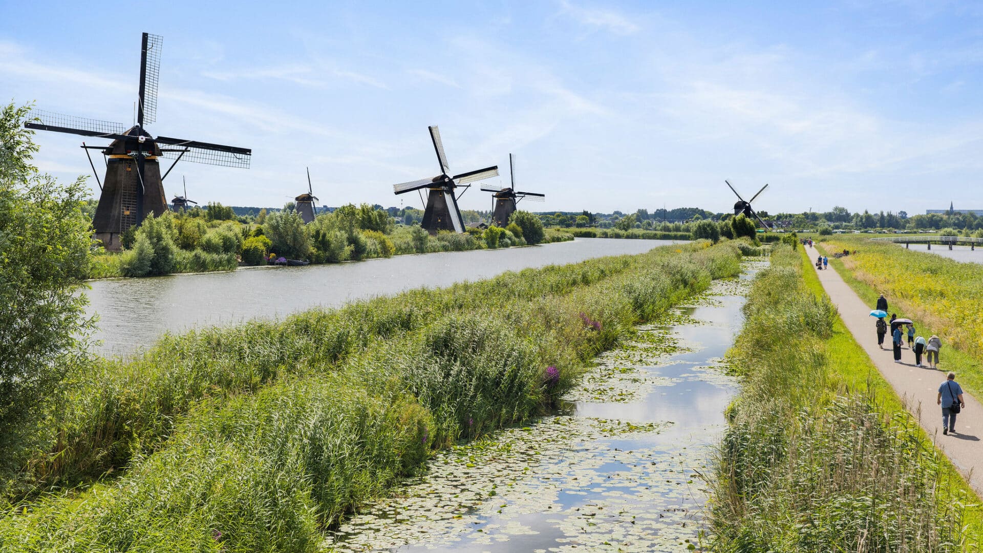 Mensen wandelend over de Middelkade in Kinderdijk met uitzicht op de molens op een mooie zomerse dag